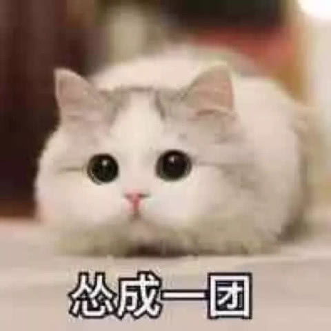  最近火了甜到齁的表情包,让女生瞬间红了脸,脱单必备