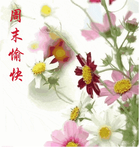 1月24日周末微信群发早上问候表情动态图片,特漂亮的朋友圈早晨表情包