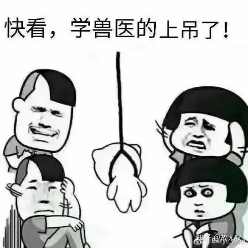  医学生与骨头的不解之缘