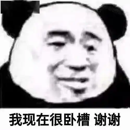  熊猫头表情包我很好奇,你们谈恋爱都聊什么