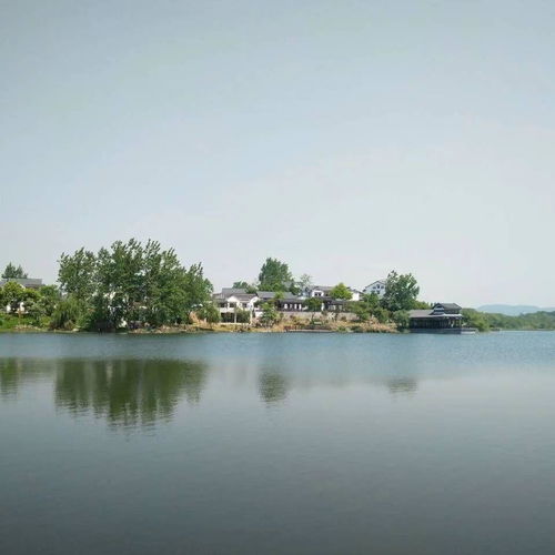  有什么特别积极乐观的风景头像吗