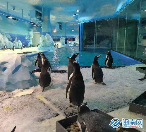  19家中央省级媒体组团打卡感受泉州的古韵新生
