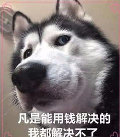  有了这些表情包,再也不怕女朋友说你打游戏了,男生快用起来