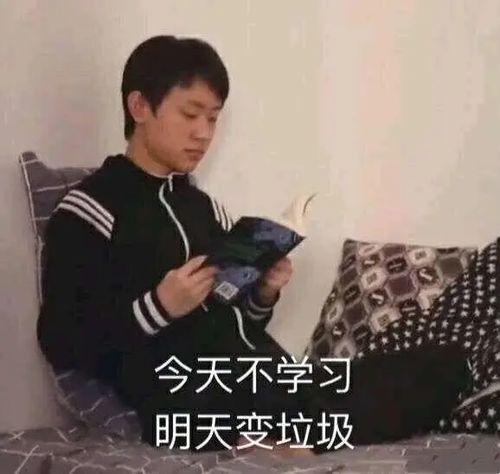 优秀的表情包视频校服