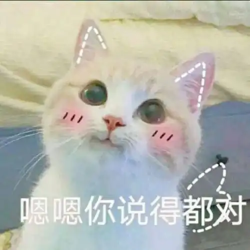  你身上有光,我抓来看看天涯客作者priest