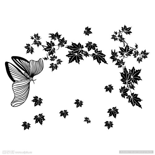  蝴蝶枫叶边框设计图花边花纹