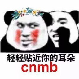  90后真的没有老,直到看不懂那串字母