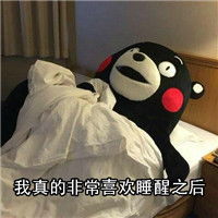  搞笑版熊本熊可爱表情包感觉就像是一直被牵挂着