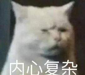  斗图表情包合集莫非,你就是传说中的憨批