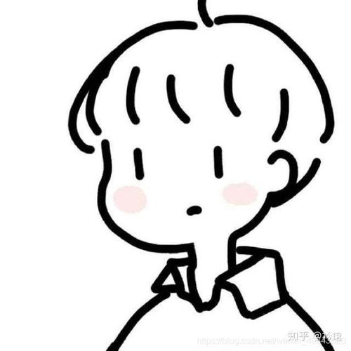  新手求带