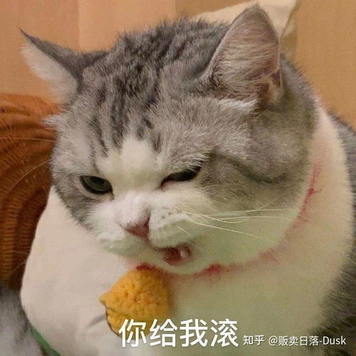  很棒的表情包有哪些