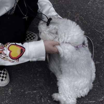  温柔抱猫部位闺蜜头遇到那么多女生头像我要个性网
