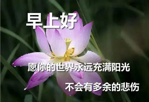  晨曦依旧,梦短情长,道一句早安,快快起床,收拾好心情