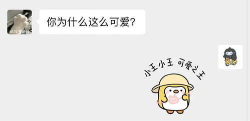 如何表情包姓氏