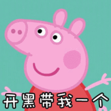  粉fu色li小猪来袭南方贝贝