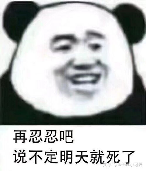  女生口中的笨蛋到底意味着什么