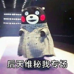  熊本熊表情包维多利亚的秘密