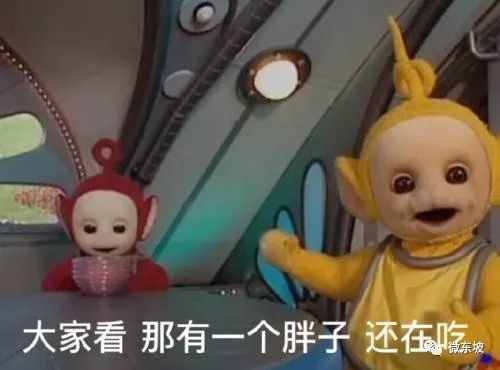  速看眉山圣丰国际发现海洋,还有恐龙