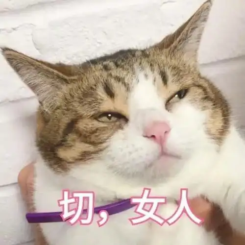  每日一笑这些男的没有一个比较像孩子他爹的,我怕以后糊弄不了