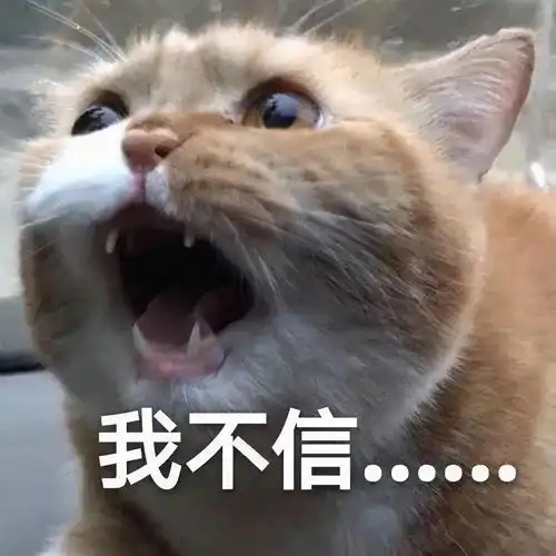  救命somi瘦腿的秘密,竟然是这个羞羞的小工具