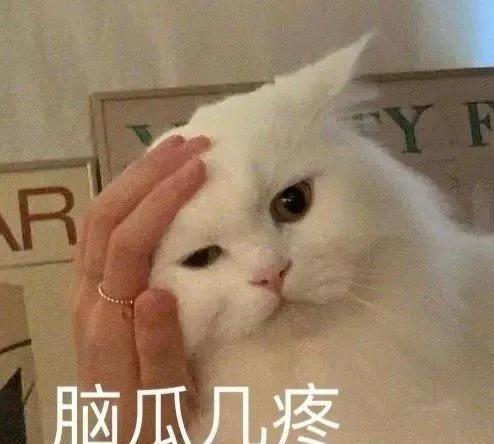  有哪些让人笑到喷饭的短句文案