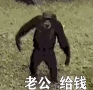  老公给钱表情包猴子动图