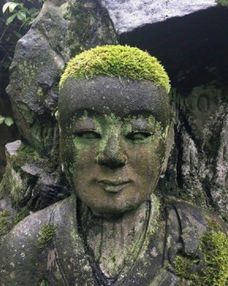  搞笑gif兄弟你得罪白衣天使以后别想混了