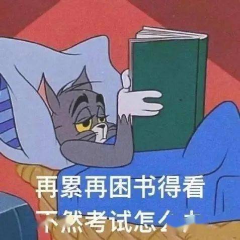 小萌狼嗷呜表情包李焕英