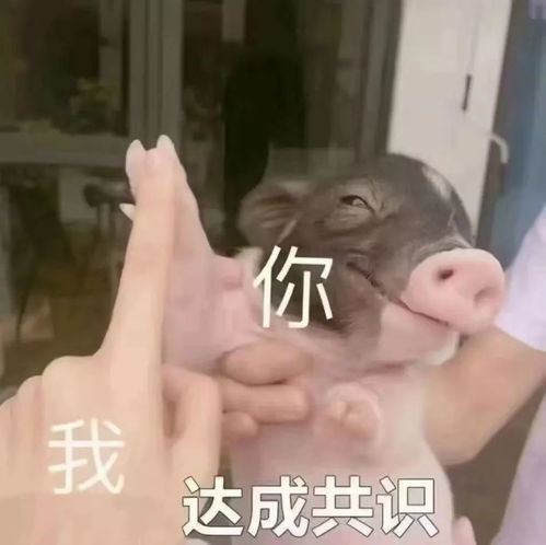  21世纪的又一个十年