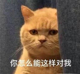 委屈猫表情包大全委屈
