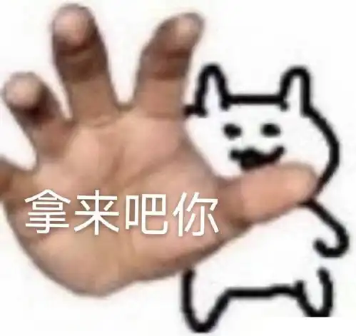  有没有人安利符1