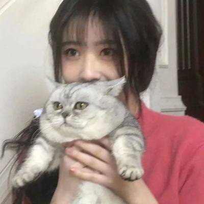 微信头像女士专用猫咪好