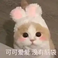 一口吞猫咪表情包