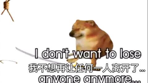  刷屏几亿人表情包的柴犬cheems,是如何火爆网络的