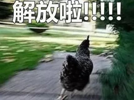 明天休息了表情包下班