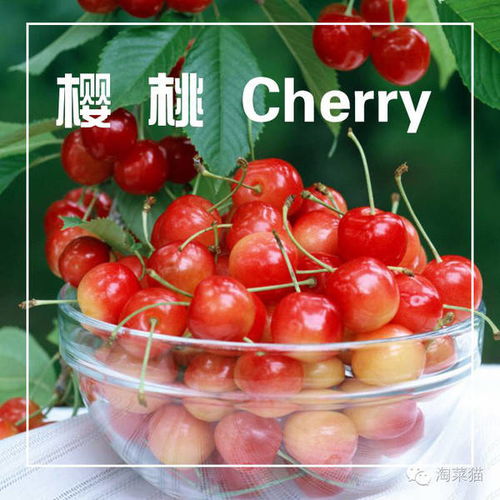  夏季吃这些水果最靠谱丨文末有彩蛋哦