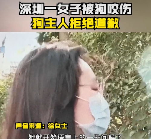  深圳一女子被狗咬伤,主人拒绝道歉,扬言不协调,无非就想要钱