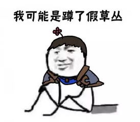  我可能遇见了假x系列1我可能玩了假lol