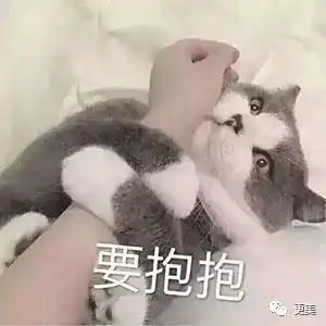  欧阳娜娜撩陈伟霆又撩范丞丞,欧阳娜娜被全网骂绿茶,她有错吗
