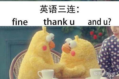 fine表情包why