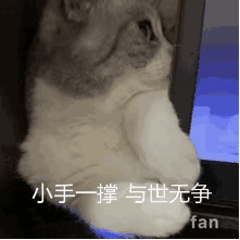  来吃砂糖橘不进医院收嘴第305期喵表情包