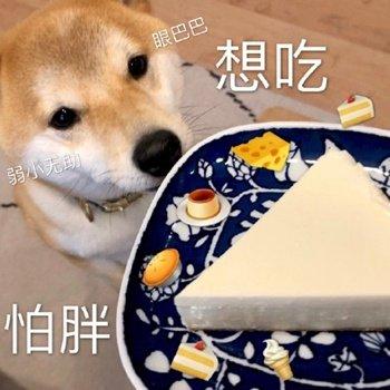 柴犬表情包合集我自闭了