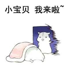 小说投稿