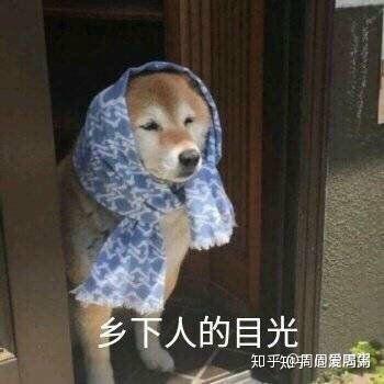 火影搞笑动图表情包师徒