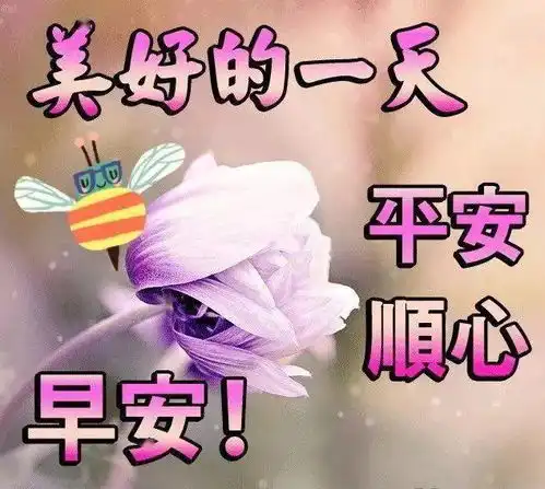  早上好表情包早上好问候语早上好图片大全