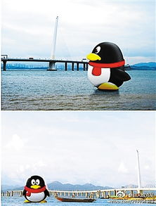  企鹅被p上深圳湾