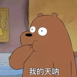  2019年新一线城市榜单出炉宁波又双叒上榜排名竟然在