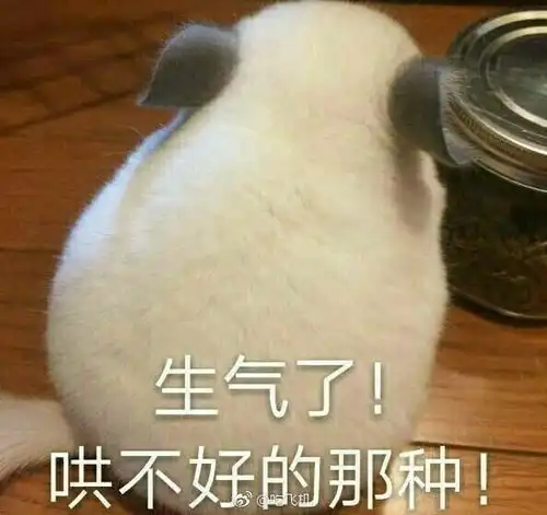 撒娇的表情包视频给你
