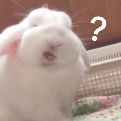 有哪些在朋友圈会被秒赞的文案