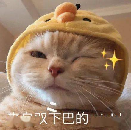  合理用药拒绝高人一等